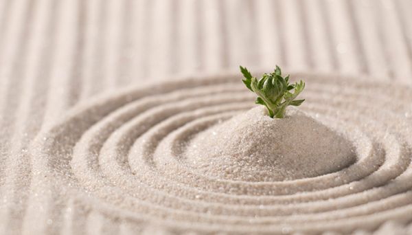 馬云種樹沙漠在哪里 支付寶種樹在哪個沙漠