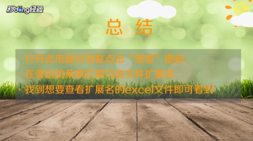 電腦上如何看excel的擴展名