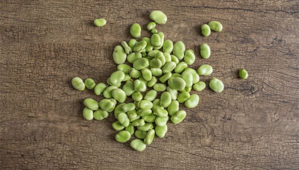 蠶豆瓣怎么保存 蠶豆的營養(yǎng)價(jià)值