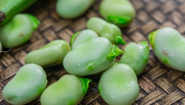 蠶豆瓣怎么保存 蠶豆的營養(yǎng)價(jià)值