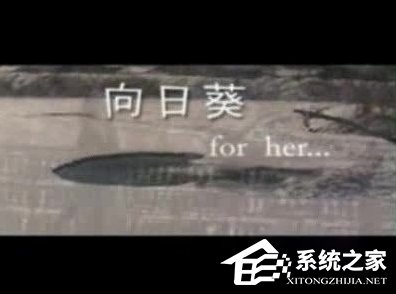 WinXP系統(tǒng)怎么打開DAT格式文件?