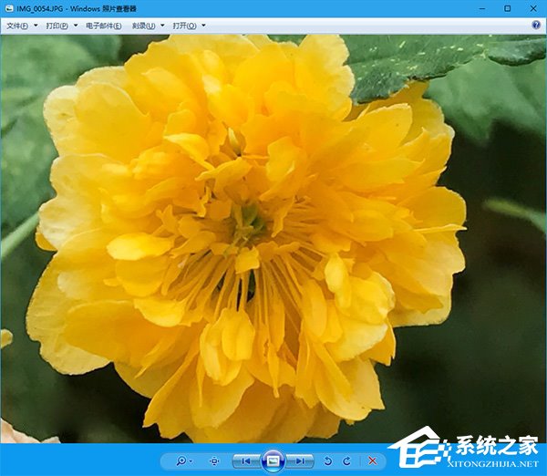 Windows10電腦如何正確顯示iPhone7拍攝的照片?