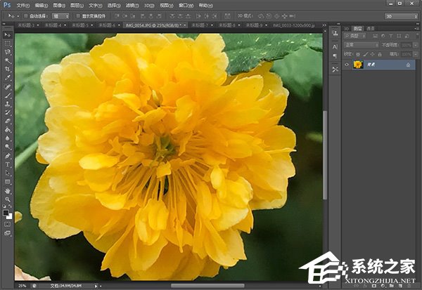 Windows10電腦如何正確顯示iPhone7拍攝的照片?