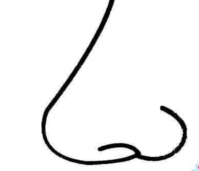 qq畫圖紅包鼻子怎么畫？QQ畫圖紅包鼻子畫法分享