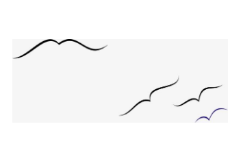 qq畫圖紅包動物遷徙怎么畫？QQ紅包動物遷徙畫法分享