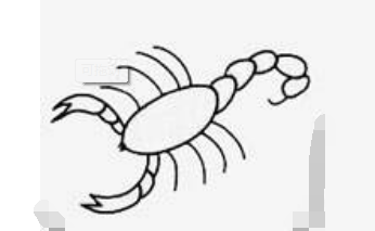 qq畫圖紅包蝎子怎么畫？QQ紅包蝎子畫法分享