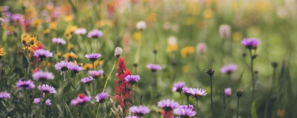 適合發(fā)朋友圈的句子 發(fā)朋友圈文案