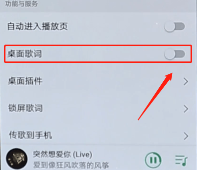 QQ音樂(lè)怎么解鎖桌面歌詞？解鎖桌面歌詞的操作步驟分享
