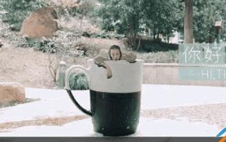 抖音APP怎么錄制出跳進水杯特效?跳進水杯特效錄制方法一覽