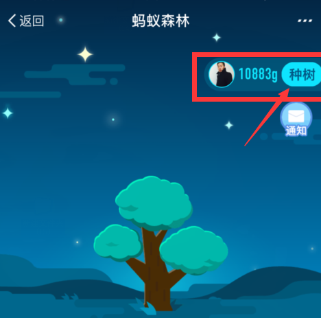 在支付寶里怎么獲得螞蟻森林環保證書？螞蟻森林環保證書獲取方法說明