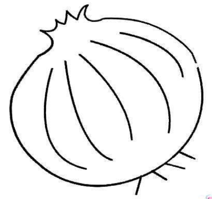 qq畫圖紅包洋蔥怎么畫?QQ畫圖紅包所有圖案畫法匯總