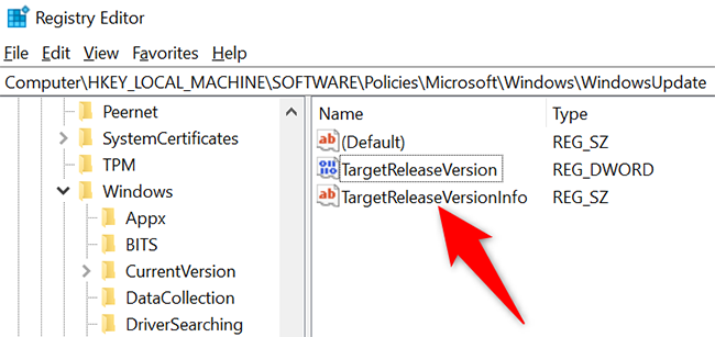 怎么阻止在Win10上安裝Windows11更新？