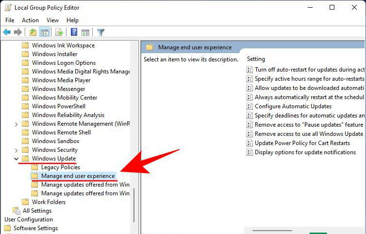 Win11如何禁止系統(tǒng)自動更新 Win11關(guān)閉系統(tǒng)自動更新的方法