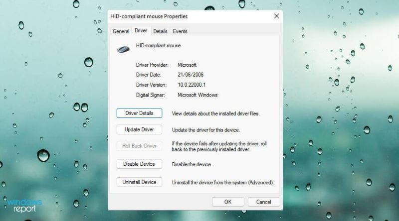 Win11中觸摸板不工作怎么辦？Win11中觸摸板不工作修復(fù)方法