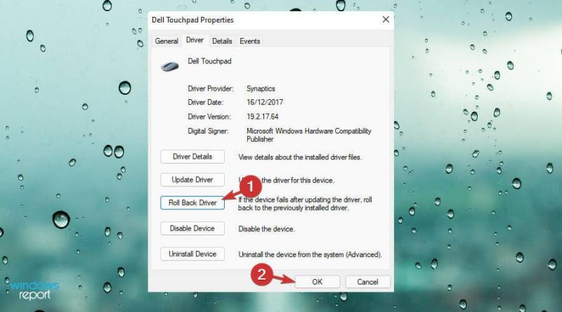 Win11中觸摸板不工作怎么辦？Win11中觸摸板不工作修復(fù)方法