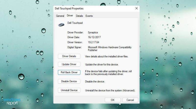 Win11中觸摸板不工作怎么辦？Win11中觸摸板不工作修復(fù)方法