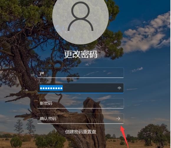 Win11不要密碼怎么設置？Win11取消密碼登錄的步驟教程