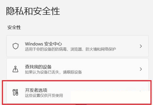 Win11怎么開啟開發(fā)者選項(xiàng)？Win11打開開發(fā)人員選項(xiàng)教程