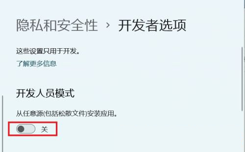 Win11怎么開啟開發(fā)者選項(xiàng)？Win11打開開發(fā)人員選項(xiàng)教程