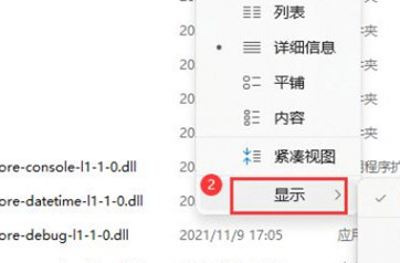 Win11如何展示文件擴展名？Win11展示文件擴展名的方法