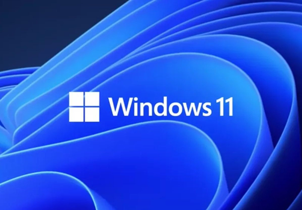 Win11的更新文件在哪里？Win11更新文件的位置