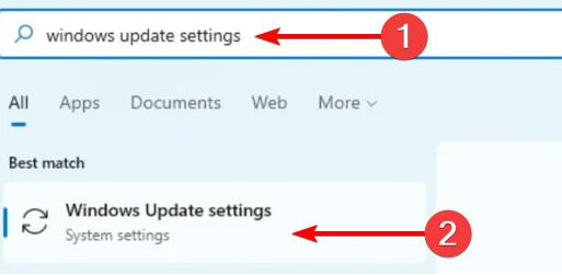 Win11攝像頭無法開啟怎么辦？Win11攝像頭無法開啟的解決方法