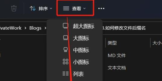 Windows11編輯文件后綴方法介紹