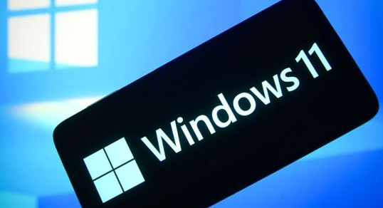 Windows11設(shè)置局域網(wǎng)絡(luò)技巧分享