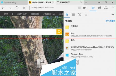 win10正式版Edge瀏覽器收藏夾在什么位置?收藏夾具體位置說明