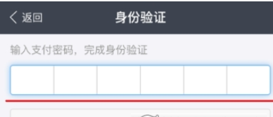 支付寶怎么設置自動交電費?自動交電費方法說明