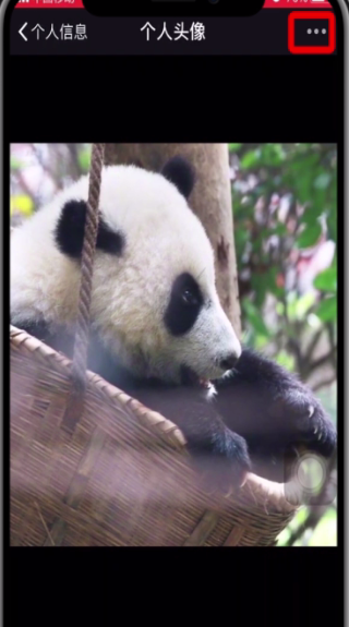 微信如何使用以前頭像？使用以前頭像的方法說明