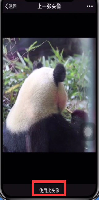 微信如何使用以前頭像？使用以前頭像的方法說明