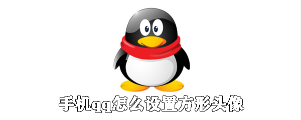 手機(jī)qq如何設(shè)置方形頭像？qq方形頭像設(shè)置步驟一覽