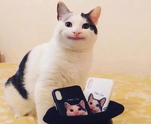 抖音高速收費員假笑是什么意思_高速收費員假笑說明