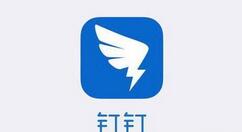 釘釘如何設(shè)置釘釘運動？設(shè)置釘釘運動的方法分享