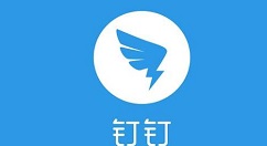 怎么啟用釘釘拍照打卡功能？啟用釘釘牌照打卡功能方法介紹