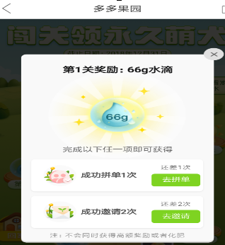 拼多多果園中怎么養狗?拼多多果園養狗的方法說明