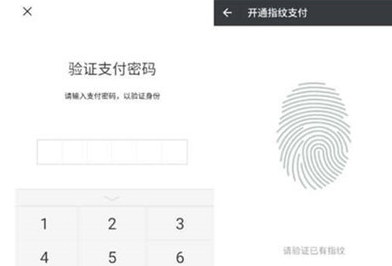 vivoy93s中怎么打開微信指紋支付?打開微信指紋支付方法介紹