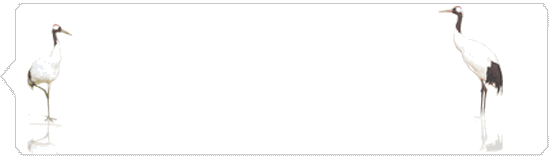 抖音浮世萬千吾愛有三表情包怎么樣 浮世萬千吾愛有三表情包一覽