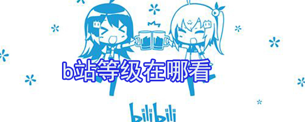 b站等級(jí)在哪看_b站經(jīng)驗(yàn)值查看方式大全