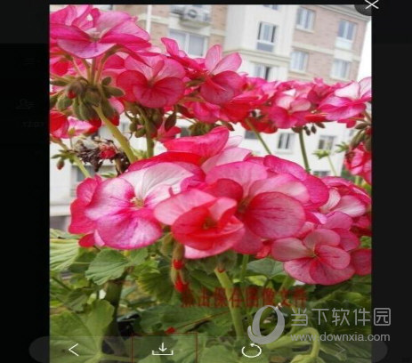 微信網(wǎng)頁(yè)版如何把手機(jī)圖片傳輸?shù)诫娔X上 傳輸方法分享