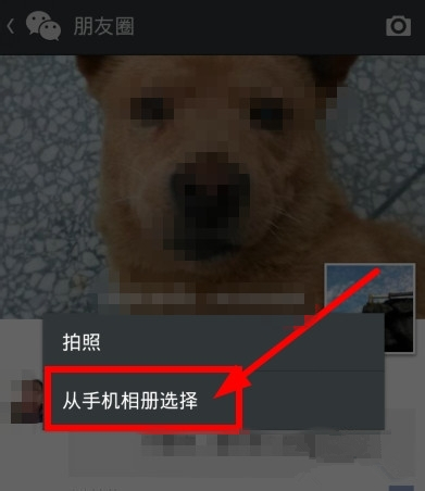 微信朋友圈如何轉(zhuǎn)發(fā)？朋友圈內(nèi)容轉(zhuǎn)發(fā)方法介紹