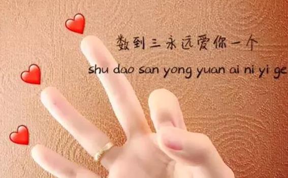 抖音手語表白手勢怎么做?手語表白圖片分享