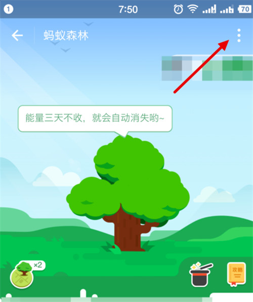 支付寶螞蟻森林能量值怎樣隱藏？隱藏森林能量值方法分享