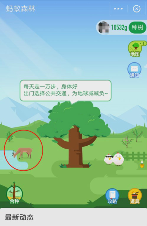 怎么在螞蟻森林首頁有小鹿?小鹿獲取攻略分享