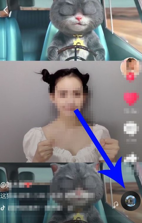 抖音斑布貓怎么合拍