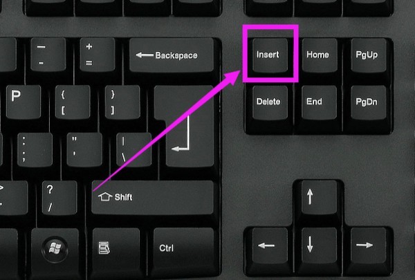 word中打字時后面字消失具體處理方法