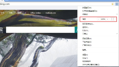 Win10中設置世界之窗瀏覽器縮放顯示具體操作方法