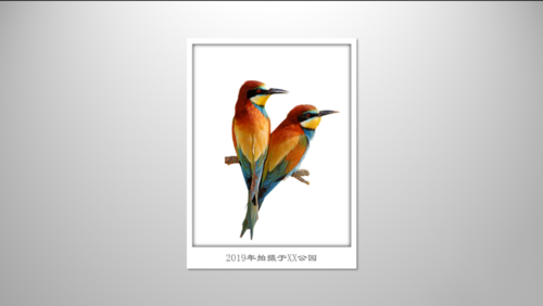 PPT中使用圖片制作出立體感極強邊框具體操作方法