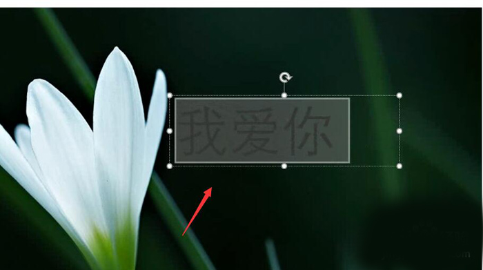 使用PPT制作出動態文字具體操作流程